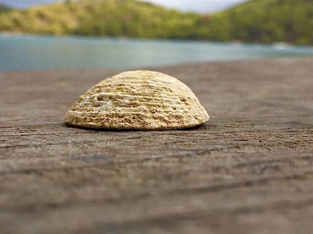 Buđenje – ja i drugi