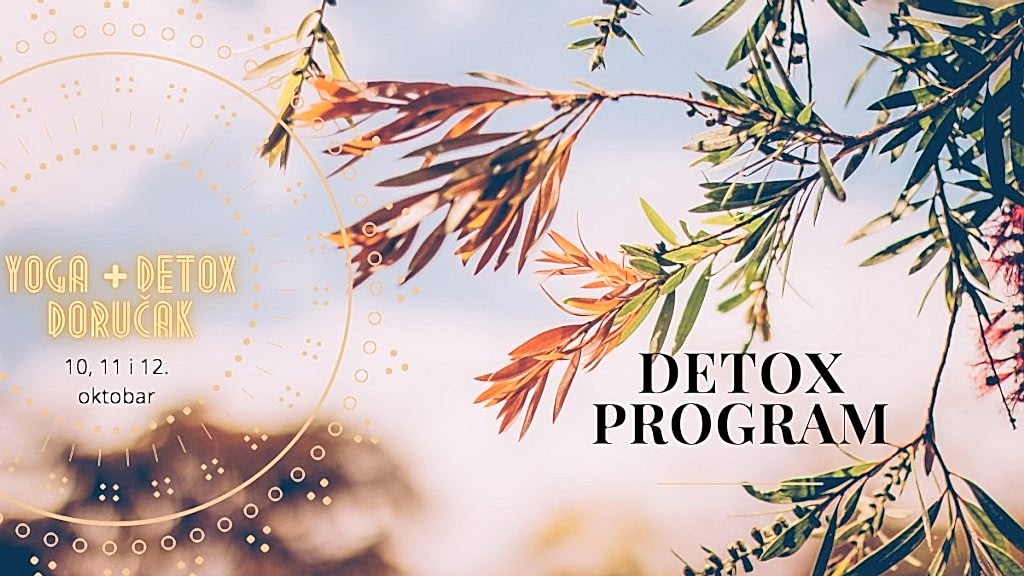 Trodnevni detox program u oktobru: Yoga & prirodni probiotik “Detox doručak”