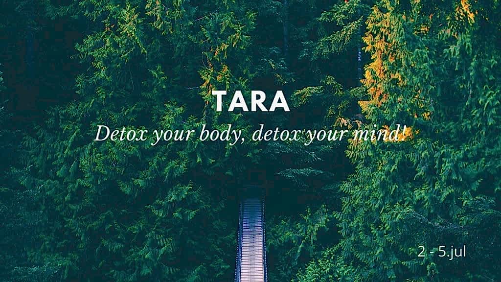 Detox your body, detox your mind