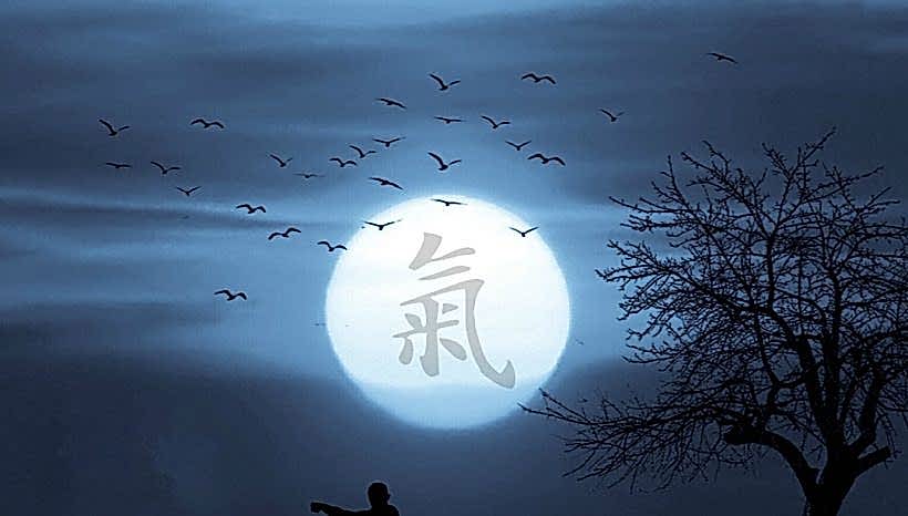 Qi Gong – nova grupa kreće sa radom