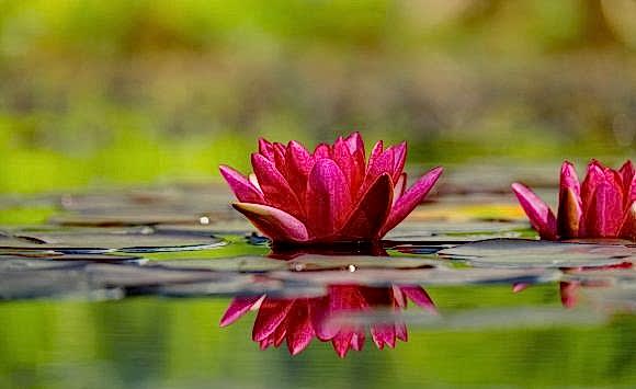 Osho Chakra Sounds meditacija