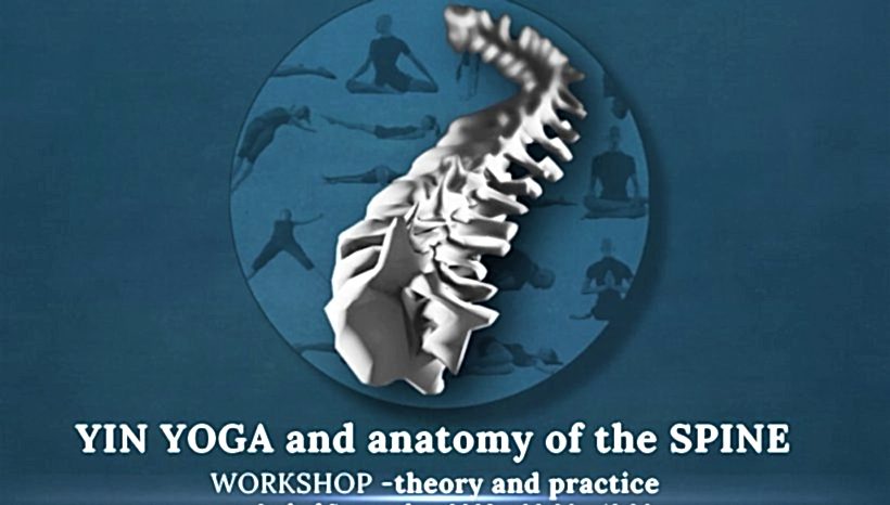 YIN YOGA AND ANATOMY OF THE SPINE – 3-hour workshop (theory and practice)