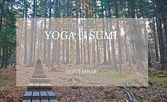 Hatha yoga u šumi i tokom septembra!