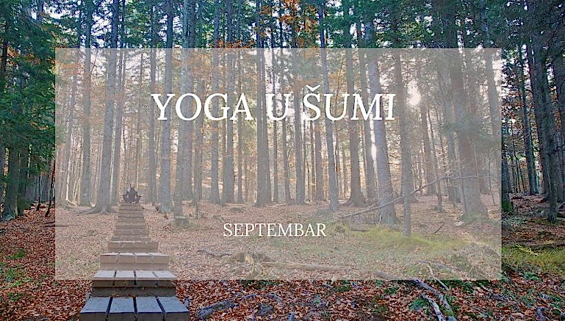 Hatha yoga u šumi i tokom septembra!
