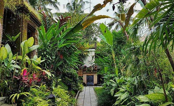 Bali Wellness & Yoga Retreat (april, 2023)