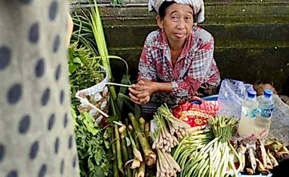 Bali Wellness & Yoga Retreat (april, 2023)