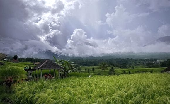 Bali Wellness & Yoga Retreat (april, 2023)