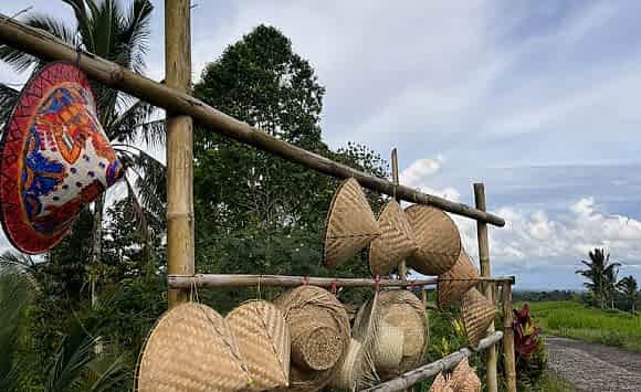 Bali Wellness & Yoga Retreat (april, 2023)