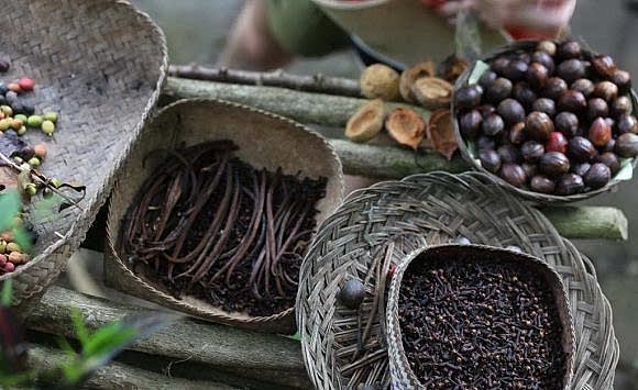 Bali Wellness & Yoga Retreat (april, 2023)